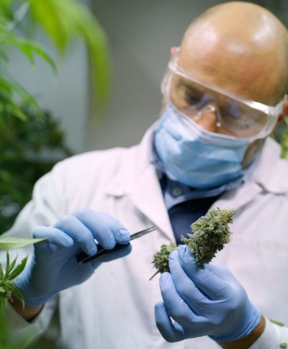 Entirely Based on Science